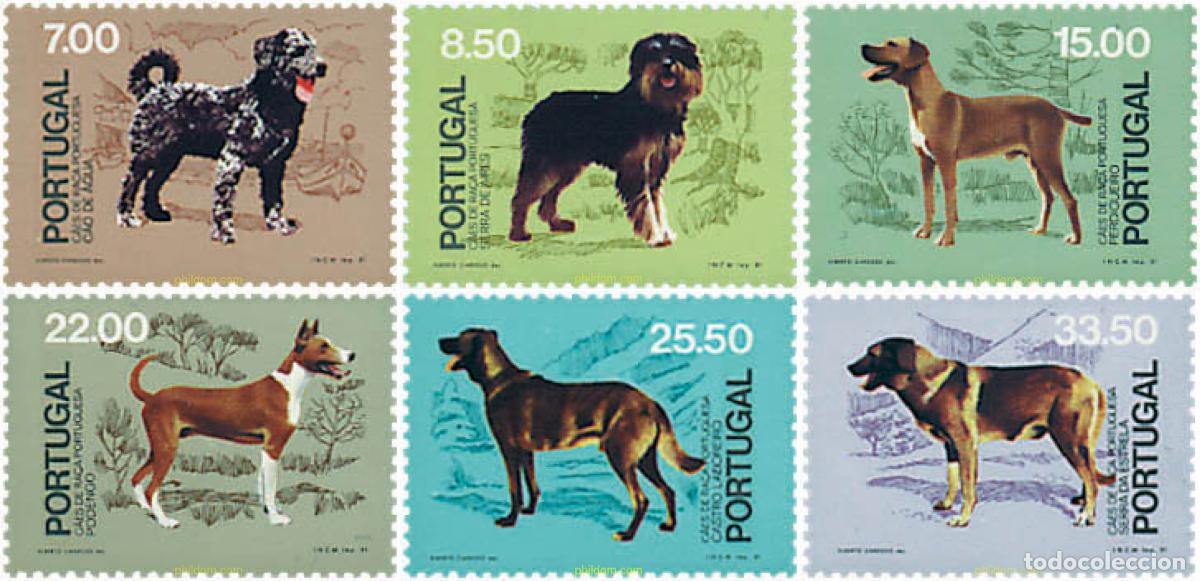 Sellos: 69331 MNH PORTUGAL 1981 PERROS DE RAZAS PORTUGUESA