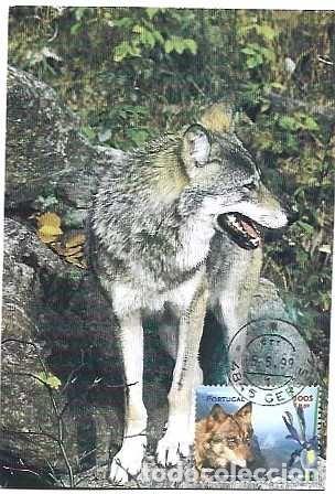 Sellos: Portugal y Maxima, Europa CEPT, Lobo, Canis lupus, Geres 1999 (3345)