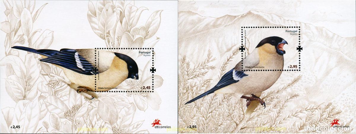 Sellos: 216084 MNH AZORES 2008 AVES