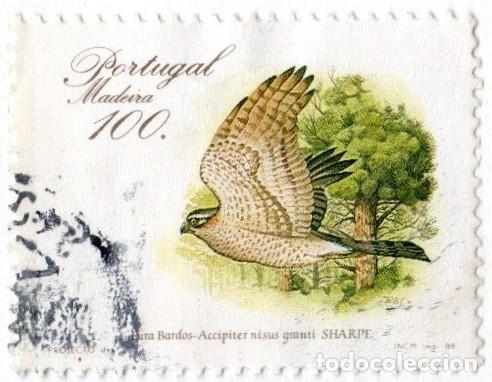 Sellos: Portugal. Madeira. Aves. Canario. 1988. YT-128. Usado
