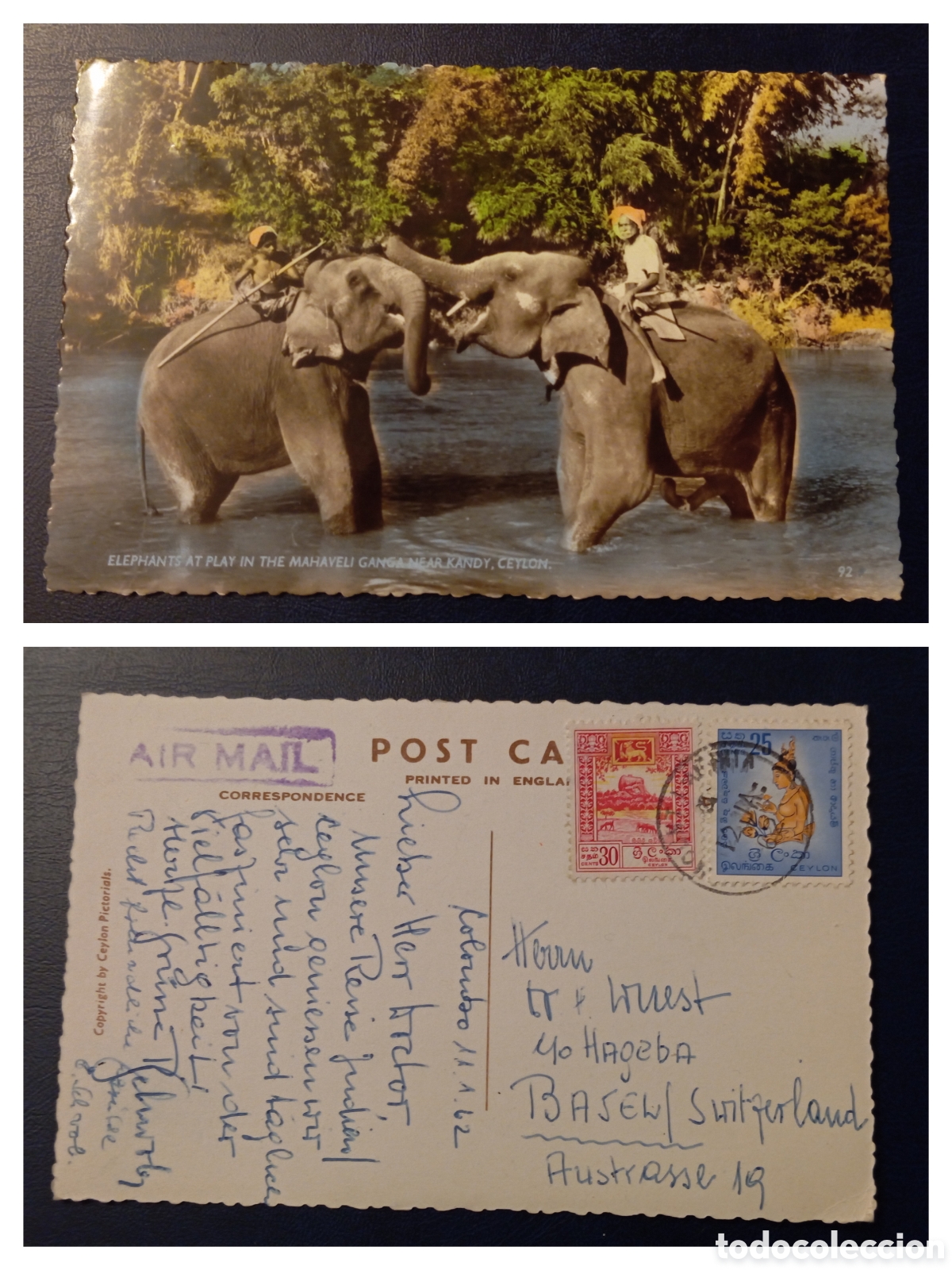 Sellos: Postal Ceil&aacute;n 1950 Elefantes - Foto 1