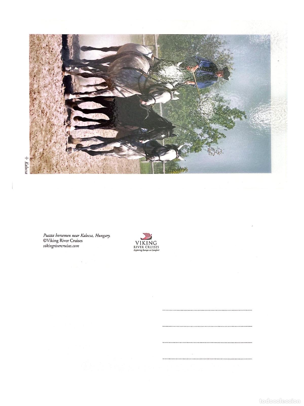 Sellos: CMI) 2018. HUNGARY. POSTCARD. VIKING CRUISES PROMOTIONAL. HORSES (EQUESTRIAN). FRONT AND BACK. XF