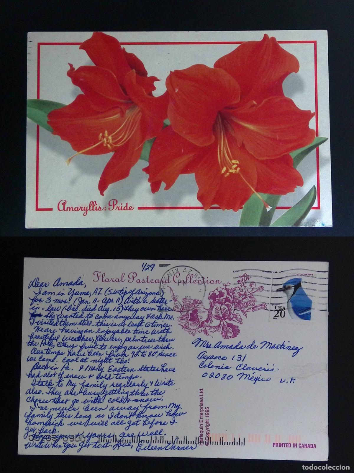 Stamps: CMI) 1995. UNITED STATES. BLUE BIRD TYPICAL OF THE REGION. HIBISCUS FLOWER. POSTCARD SENT TO MEXICO.