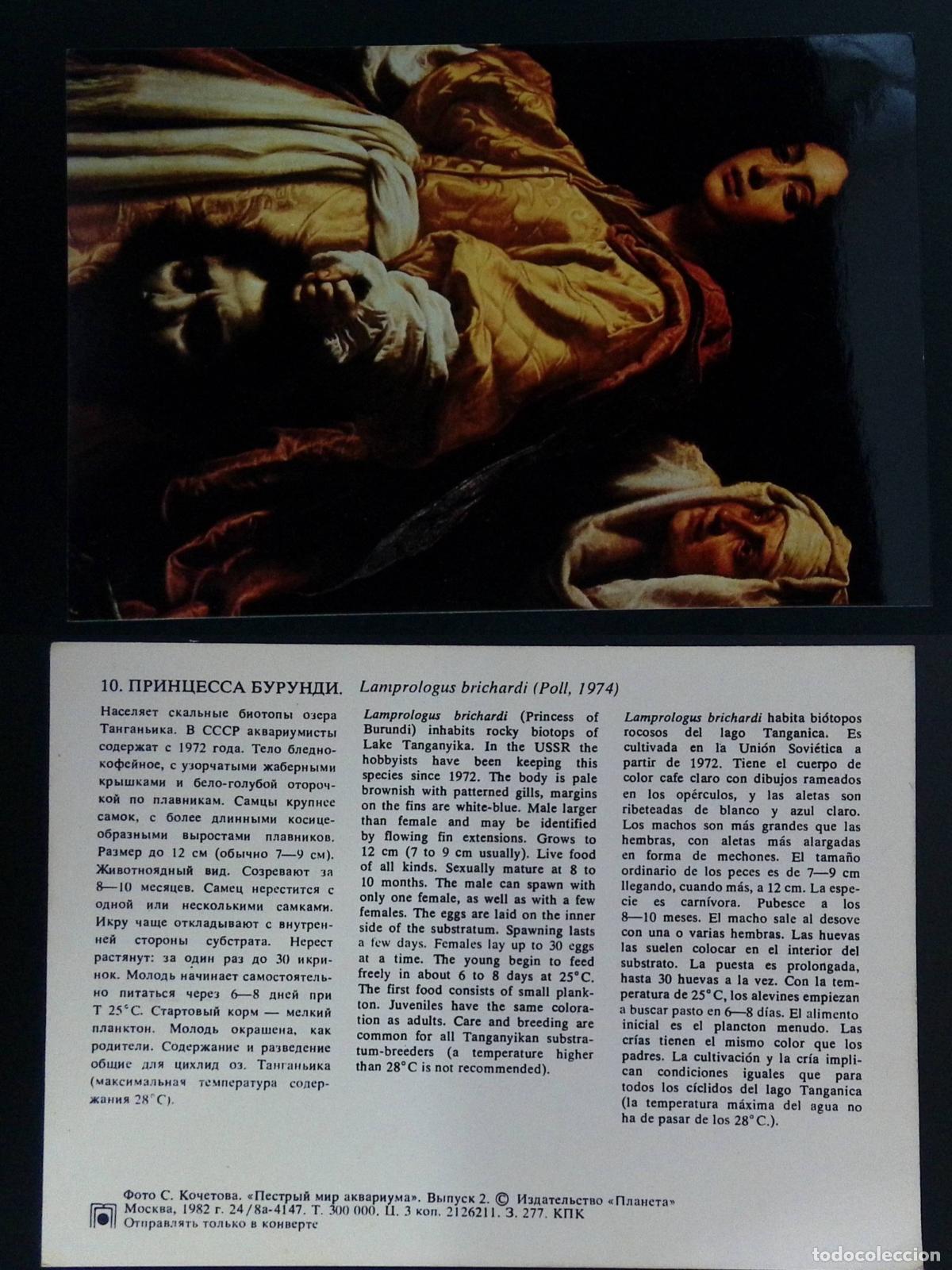Stamps: CMI) 1982. RUSSIA. SACRED ART AND REPRODUCTION OF A CLASSICAL RENAISSANCE-STYLE PAINTING. ILLUSTRATE