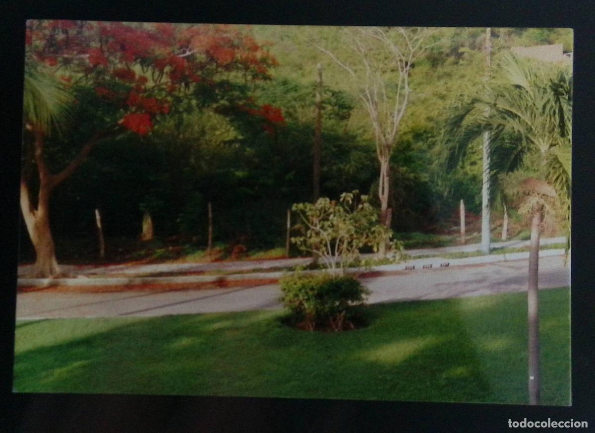 Sellos: CMI) 1980. COLOMBIA. BOTANY. PHOTOGRAPHIC COMPOSITION OF AN ELABORATE URBAN GARDEN. COLOR PHOTOGRAPH