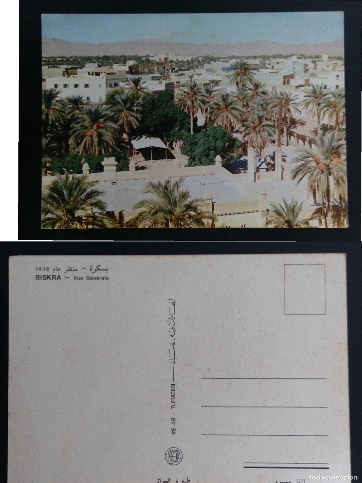 Selos: CMI) 1975. ALGERIA. GENERAL URBAN PANORAMIC VIEW OF BISKRA CITY WITH PALM TREES. POSTCARD. FYV. XF