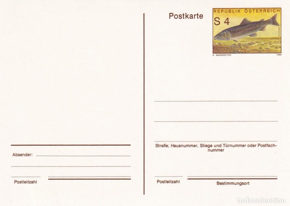 Selos: Tarjeta entero postal Austria 1988 - Pez - Hucho - Salm&oacute;n del Danubio