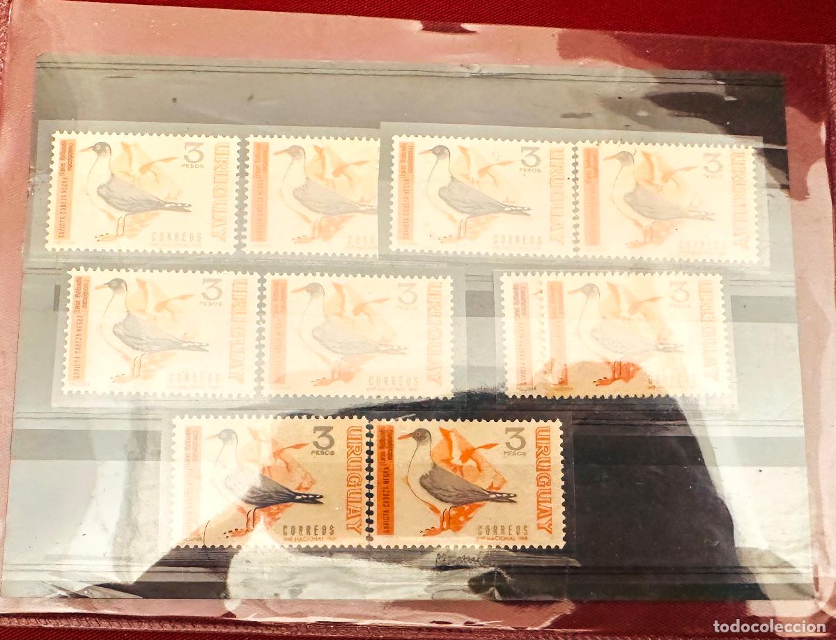 Sellos: CMI) 1980. URUGUAY. BLOCK OF SEAGULLS BIRDS STAMPS. DOMESTIC MAIL. XF