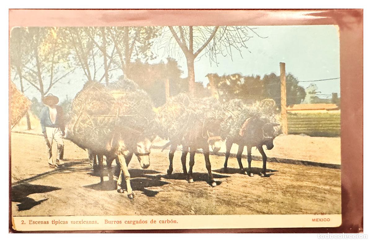 Briefmarken: CMI) 1905. MEXICO. POSTCARD. TYPICAL SCENES DONKEYS WITH COAL ILLUSTRATION XF