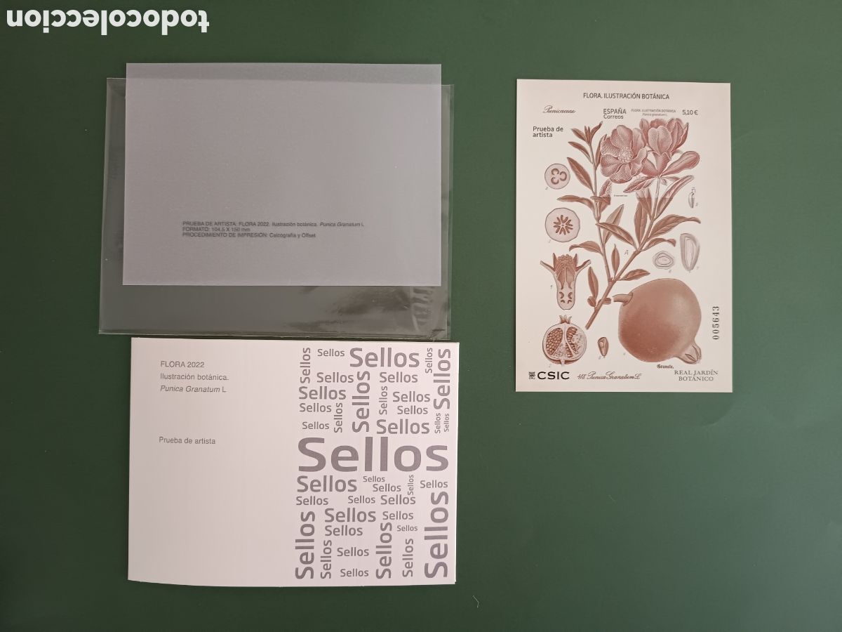 Sellos: PRUEBA ARTISTA FLORA 2022 - ILUSTRACION BOTANICA PUNICA GRATANUM L