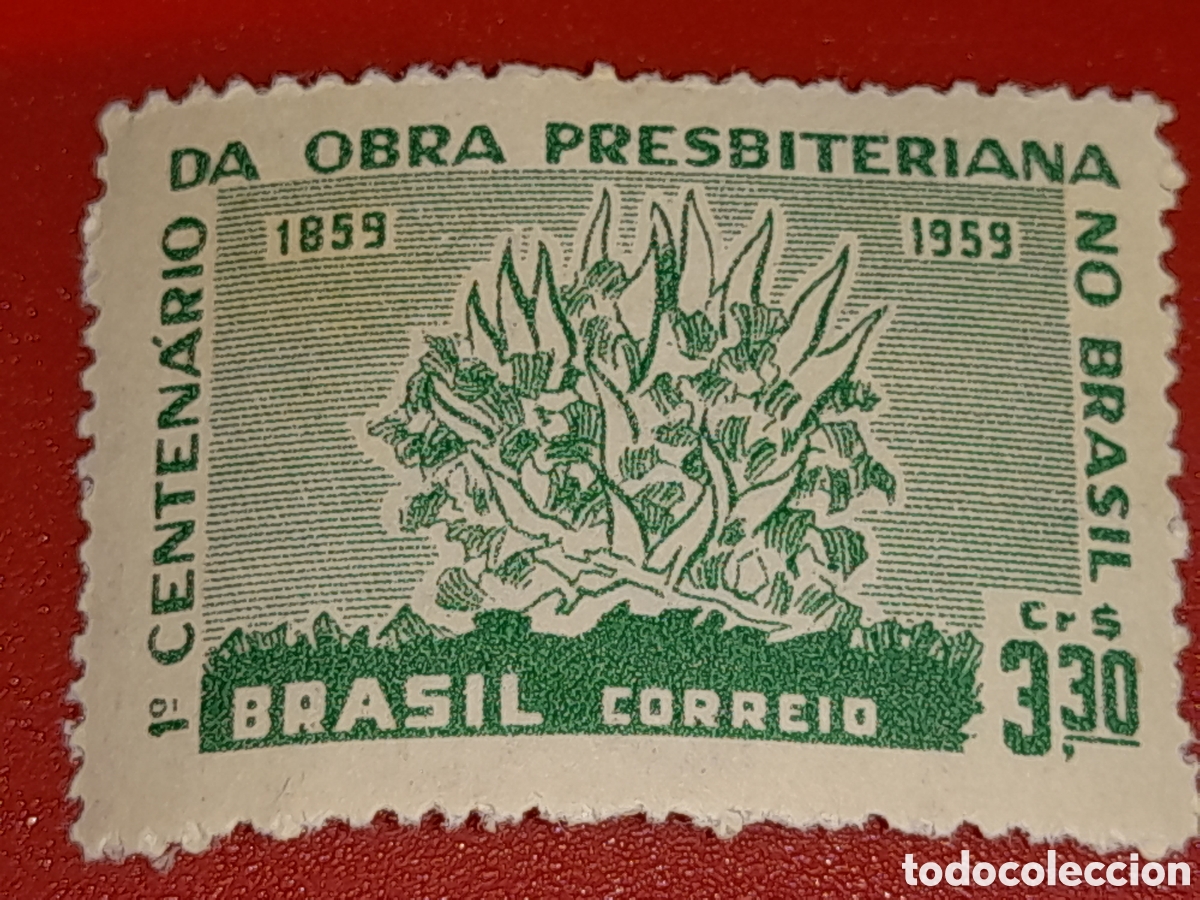 Sellos: Sello Brasil nuevo 1959. Arbusto ardiendo. Naturaleza. Plantas. Religion. 100Aniv obra presbiteriano