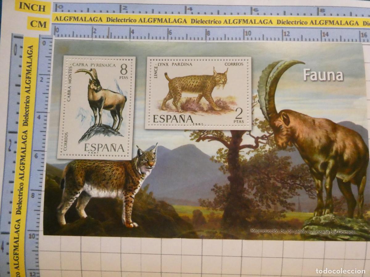 Sellos: HOJA BLOQUE FACS&Iacute;MIL. SERIE LOS SELLOS DEL FRANQUISMO. FAUNA IB&Eacute;RICA LINCE IB&Eacute;RICO, CABRA MONT&Eacute;S 111