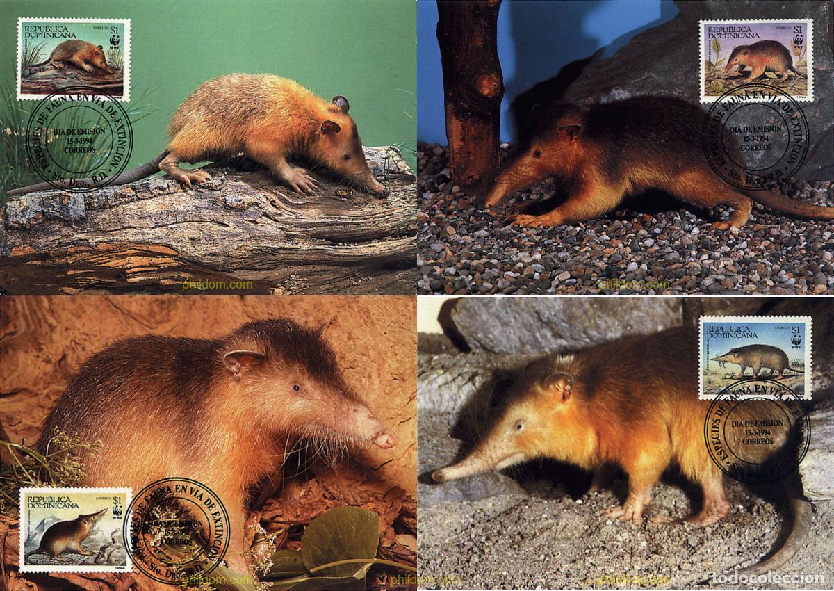 Sellos: 7511 MNH DOMINICANA 1994 SOLENODONTE
