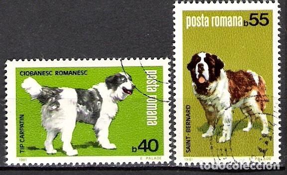 Sellos: RUMANIA 1981 - USADO - Foto 1