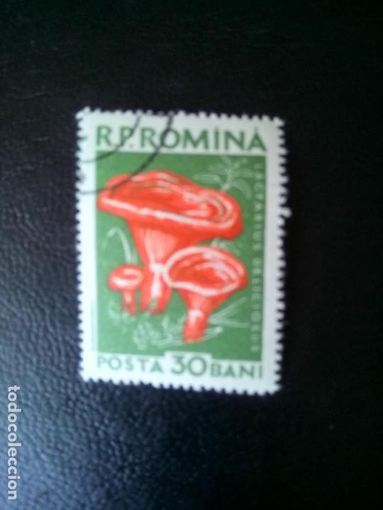 Sellos: RUMANIA 1958, SETAS - Foto 1