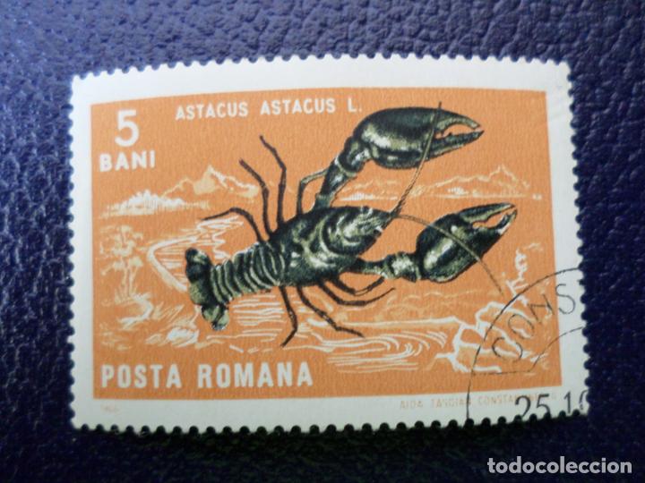 Sellos: +rumania, 1966, crustaceos y moluscos, Yvert 2240 - Foto 1