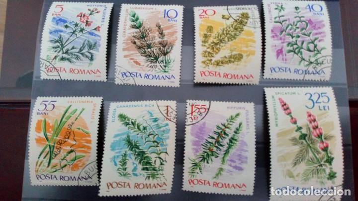 Sellos: RUMAN&Iacute;A, FLORA - Foto 1