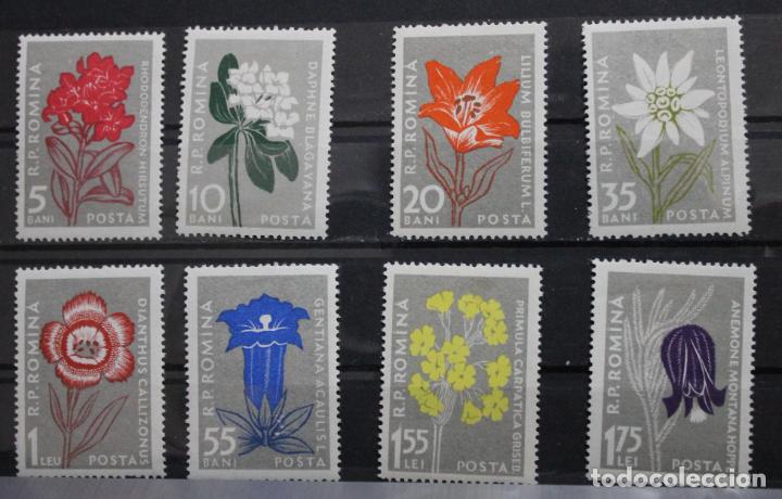 Sellos: Flora Carpatina 1957 - Foto 1