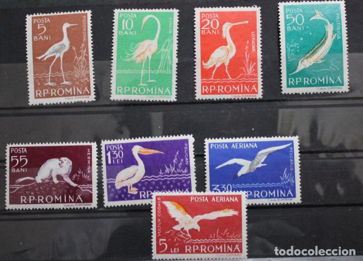 Sellos: Pasari Delta Dunarii 1957 - Foto 1