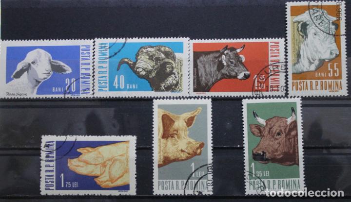 Sellos: Animale-1962 - Foto 1