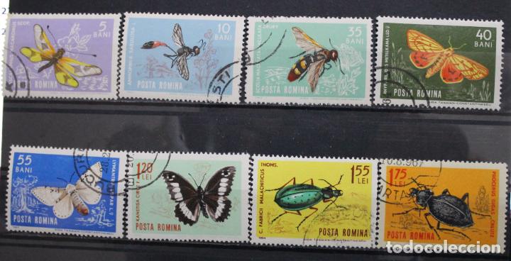 Sellos: Insecte-1964 - Foto 1