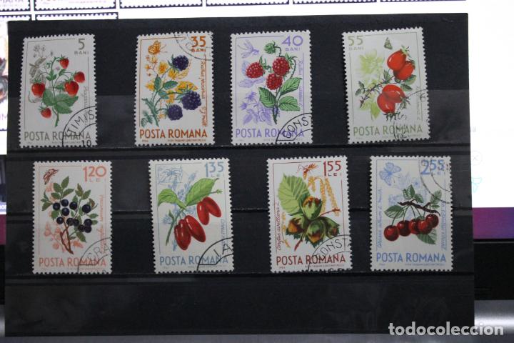 Sellos: Fructe de padure-1964 - Foto 1