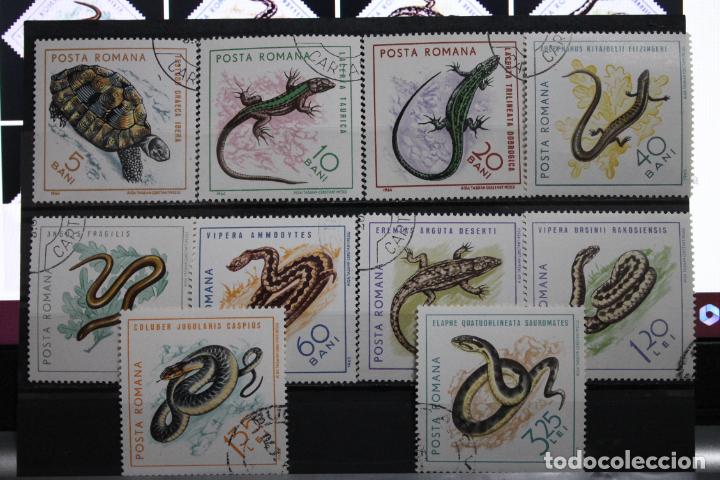 Sellos: Reptile -1964 - Foto 1