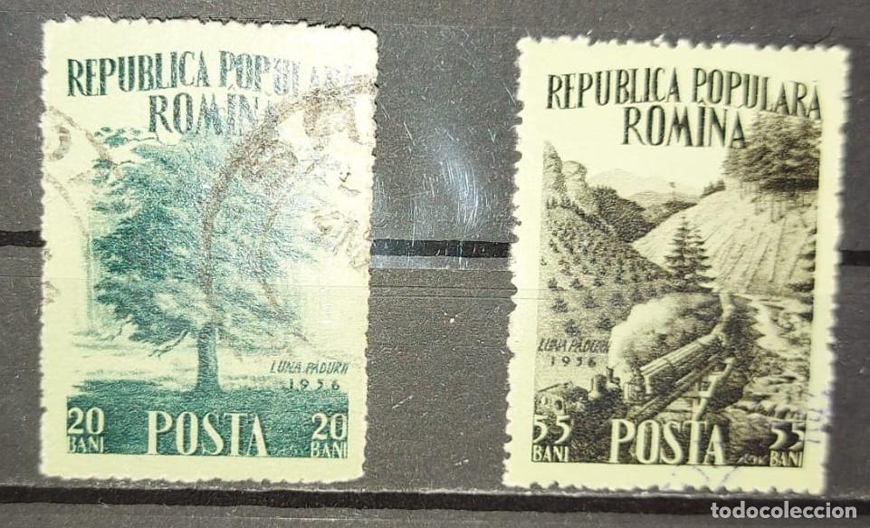 Sellos: 1956 Luna Pădurii - Foto 1