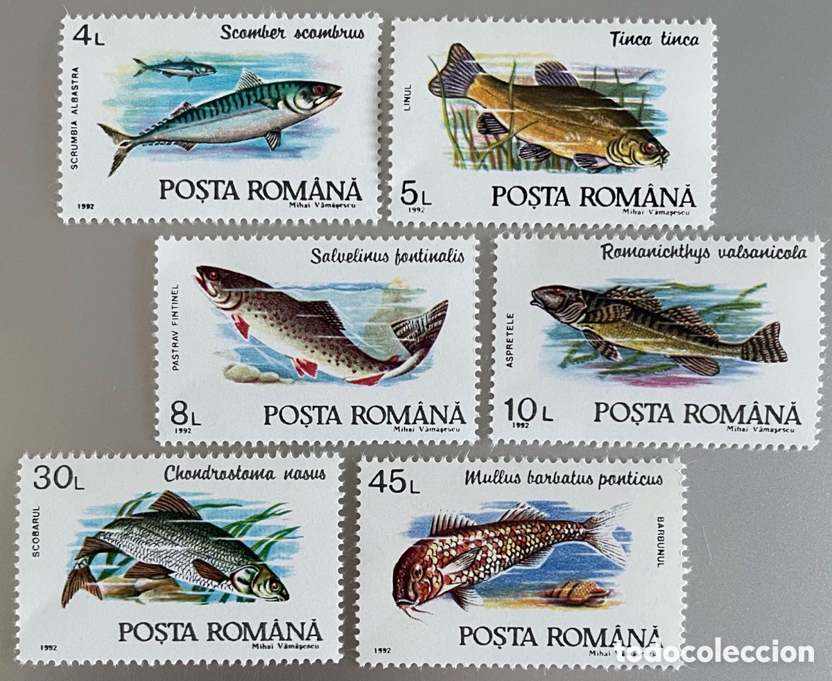 Sellos: Ruman&iacute;a. Peces. 1992 - Foto 1