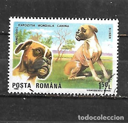 Sellos: 1990: Exposici&oacute;n canina internacional. Brno - Boxer alem&aacute;n (CTO)