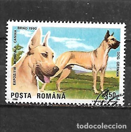 Sellos: 1990: Exposici&oacute;n canina internacional. Brno - Gran dan&eacute;s (CTO)