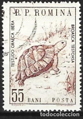 Sellos: Ruman&iacute;a 1960 - Mi 1834 - YT 1671 - Fauna : Tortuga