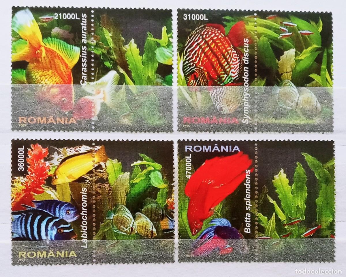 Sellos: RUMANIA IVERT 4953/56 NUEVOS ** SERIE FAUNA MARINA PECES EXOTICOS A&Ntilde;O 2005