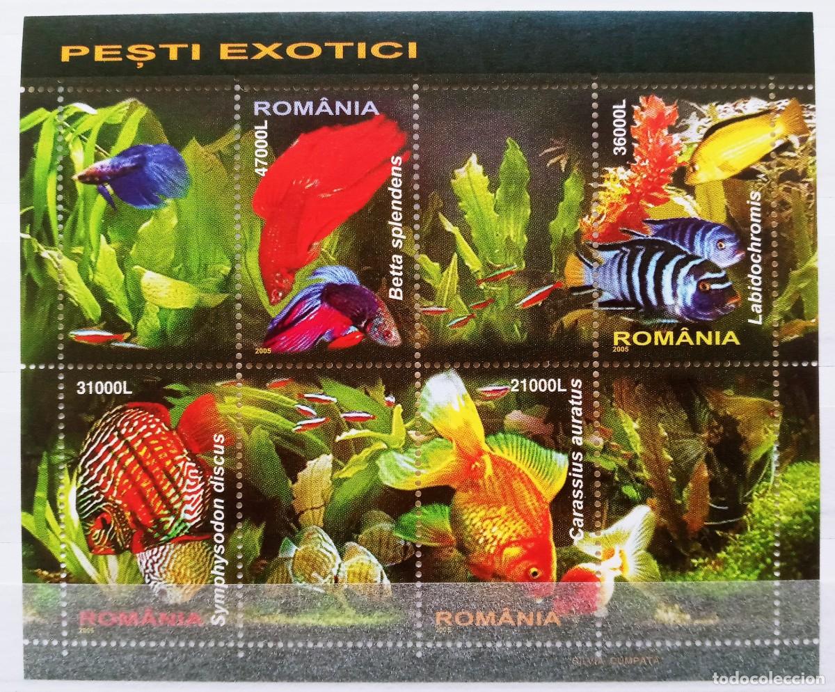 Sellos: RUMANIA IVERT HOJA BLOQUE N&ordm;285 NUEVOS ** FAUNA MARINA PECES EXOTICOS A&Ntilde;O 2005