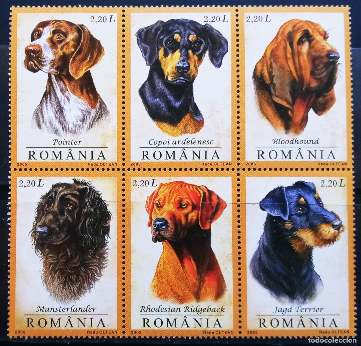Sellos: RUMANIA IVERT 5019/24 NUEVOS ** FAUNA DOMESTICA PERROS DE CAZA A&Ntilde;O 2005