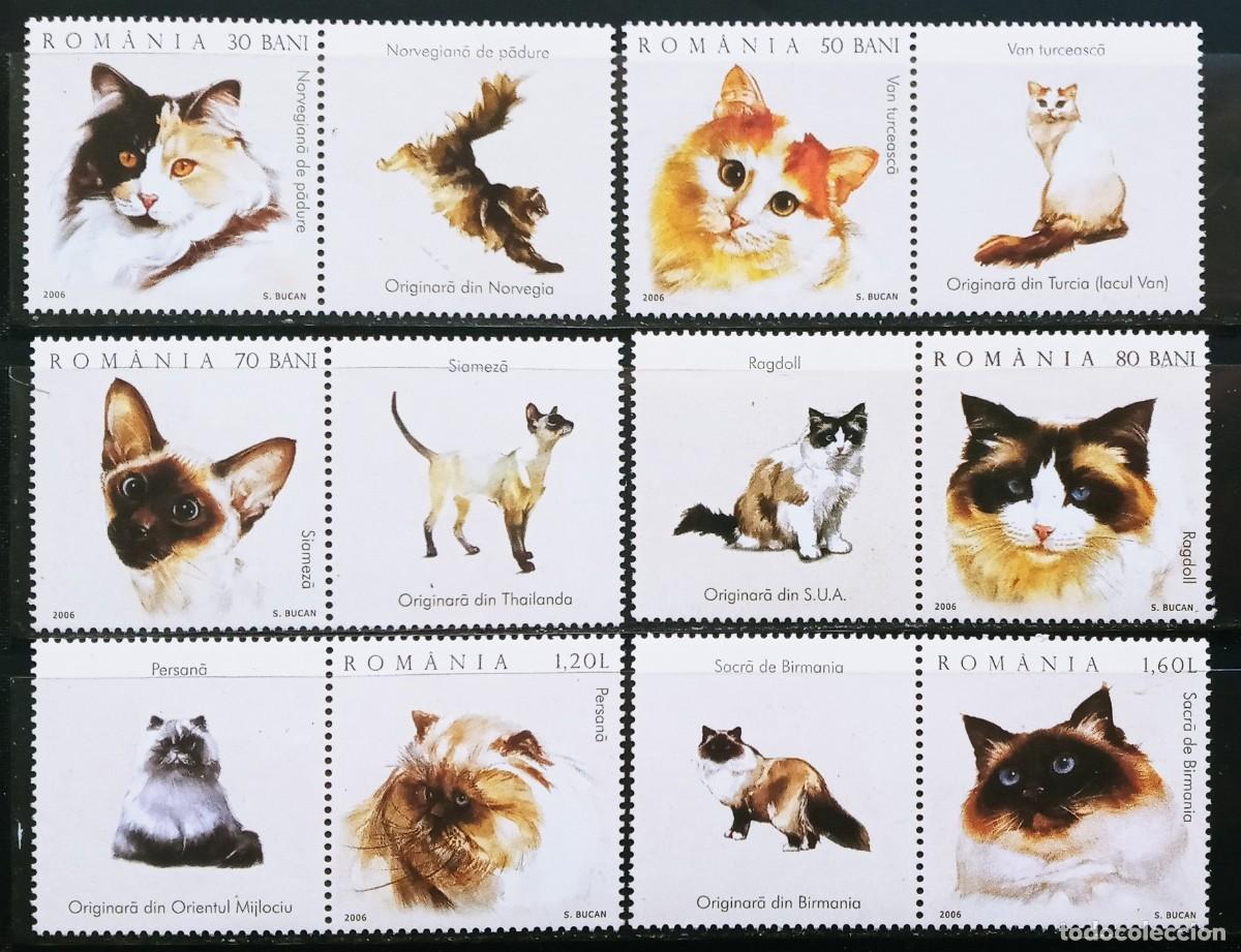 Sellos: RUMANIA IVERT 5055/60 NUEVOS ** FAUNA DOMESTICA GATOS A&Ntilde;O 2006