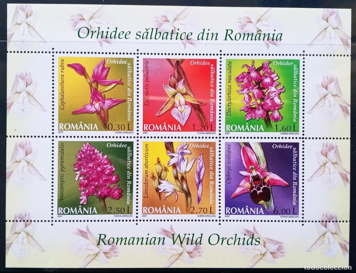 Sellos: RUMANIA IVERT HOJA BLOQUE N&ordm;328 NUEVOS ** SERIE FLORA. ORQUIDEAS A&Ntilde;O 2007