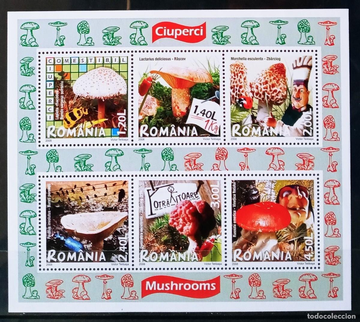 Sellos: RUMANIA IVERT HOJA BLOQUE N&ordm;343 NUEVOS ** SERIE FLORA. SETAS Y CHAMPI&Ntilde;ONES A&Ntilde;O 2008