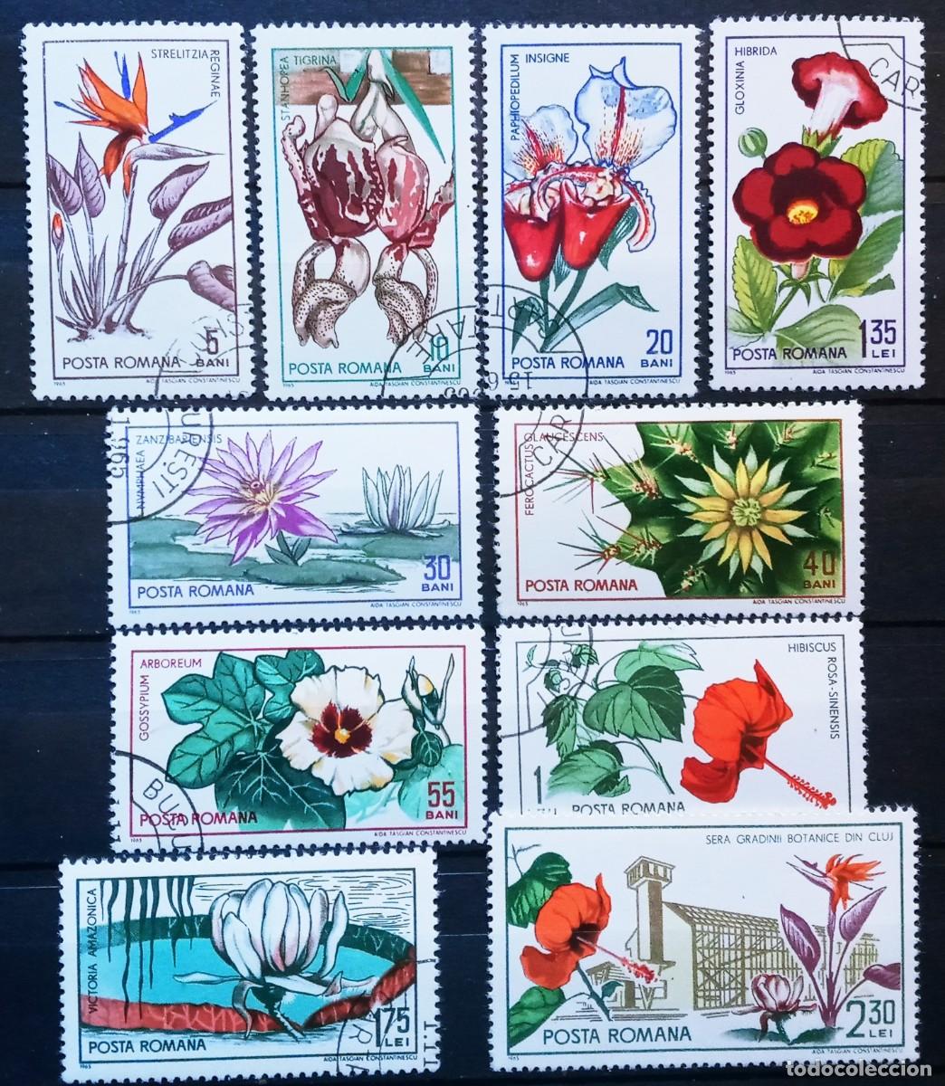 Sellos: RUMANIA IVERT 2156/65 USADOS - FLORES JARDIN BOTANICO DE CLUJ. A&Ntilde;O 1965