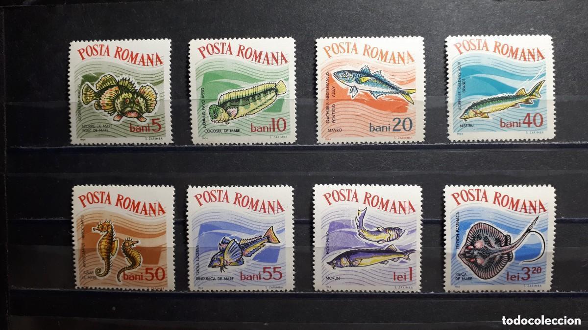 Sellos: Rumania 1964 Ivert 2001/8 *** Fauna - Peces del Acuario de Constanza