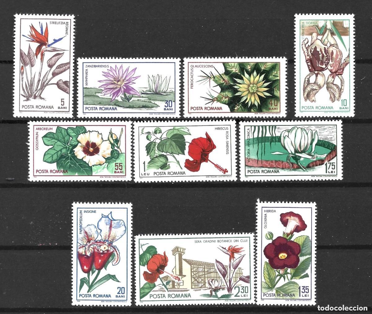 Sellos: Rumania 1965 Ivert 2156/65 *** Flora - Flores del Jard&iacute;n Bot&aacute;nico de CLUJ