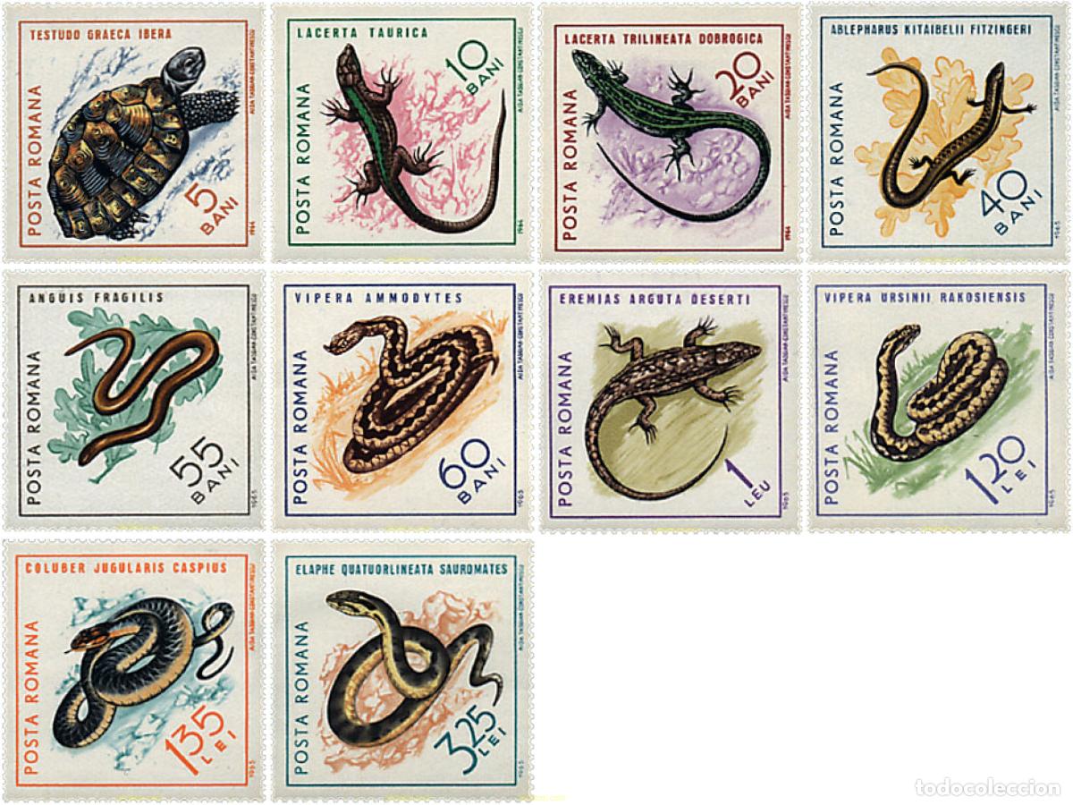 Sellos: 61918 MNH RUMANIA 1965 REPTILES