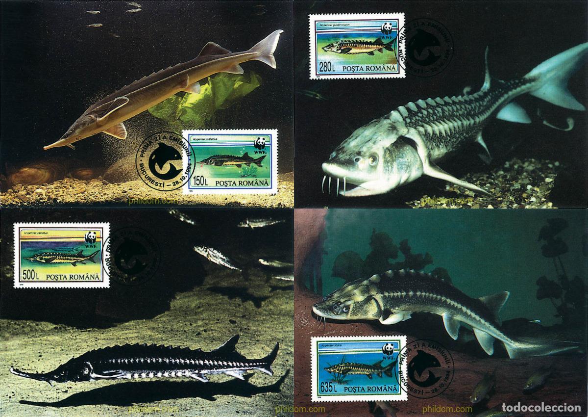 Sellos: 7401 MNH RUMANIA 1994 ESTURIONES
