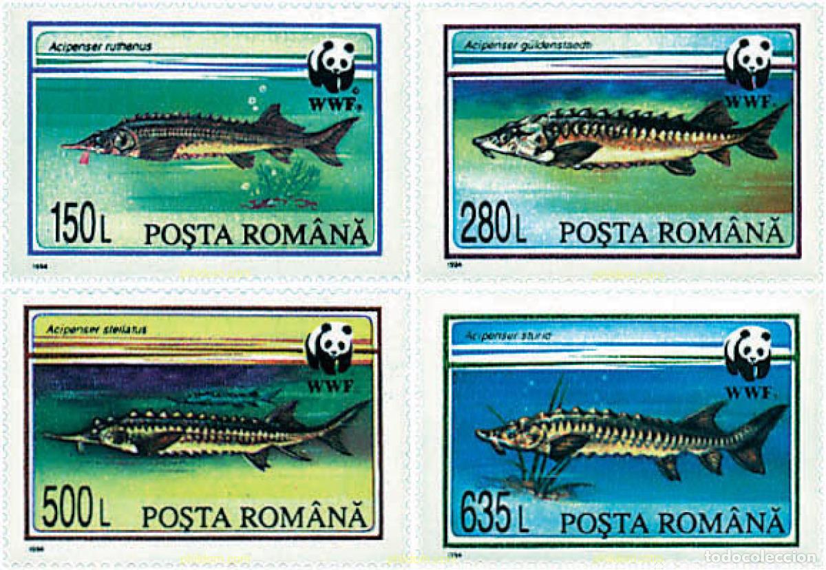Sellos: 74983 MNH RUMANIA 1994 ESTURIONES