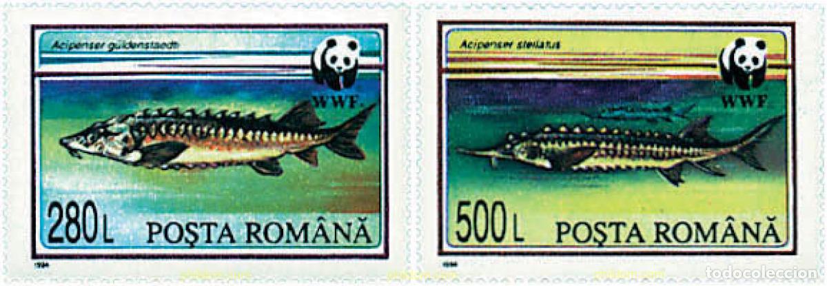 Sellos: 275226 MNH RUMANIA 1994 ESTURIONES