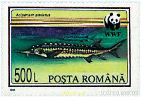 Sellos: 275227 MNH RUMANIA 1994 ESTURIONES