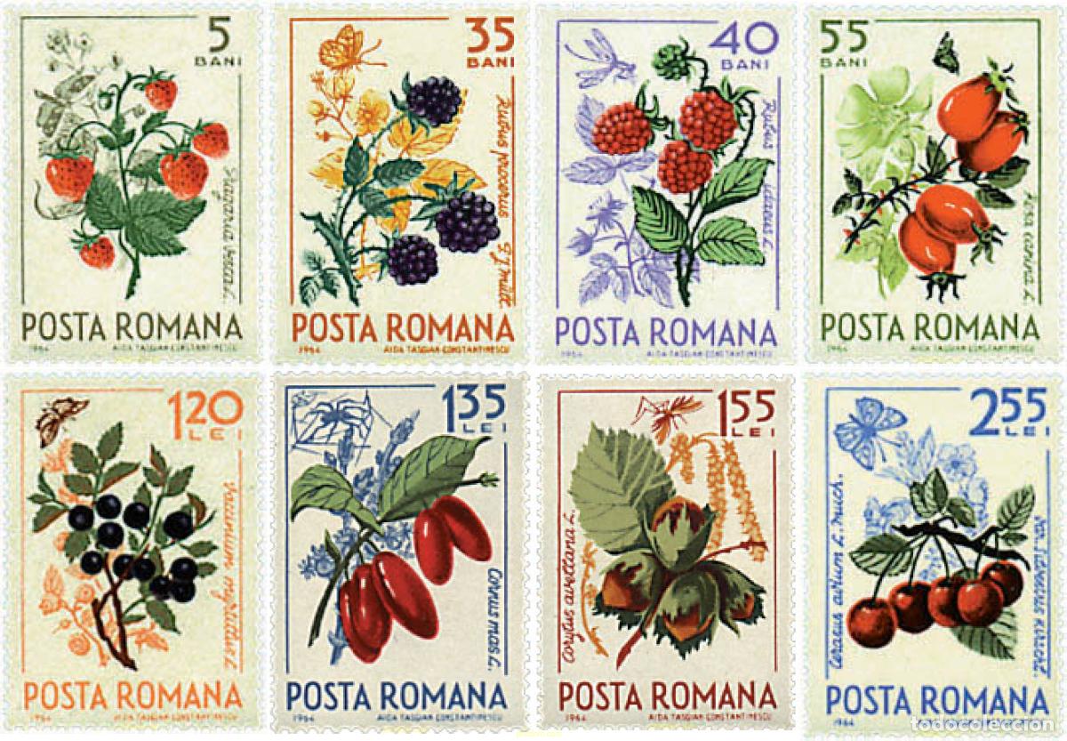 Sellos: 94998 MNH RUMANIA 1964 FRUTOS