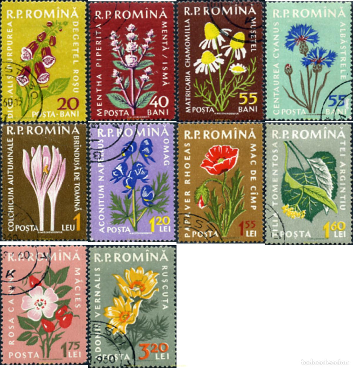 Sellos: 339157 USED RUMANIA 1959 PLANTAS MEDICINALES