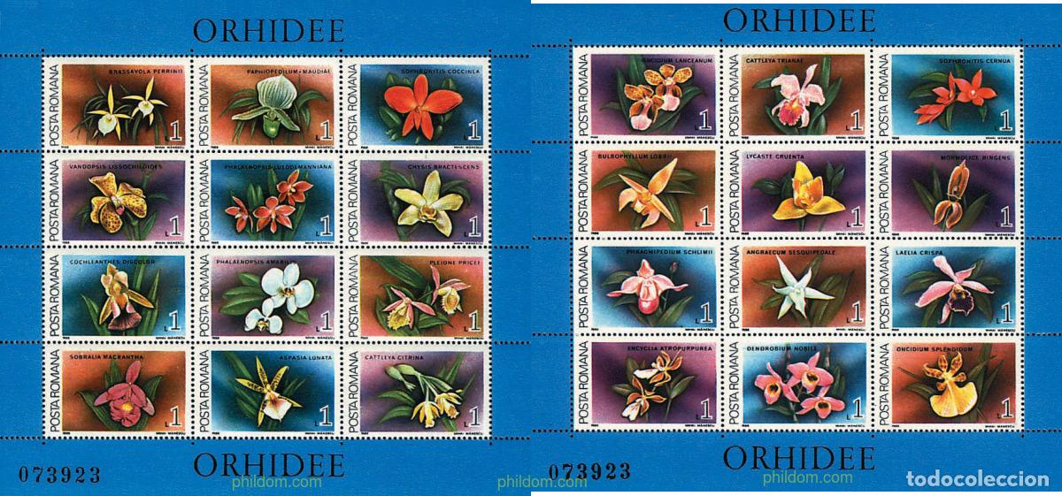 Sellos: 93992 MNH RUMANIA 1988 ORQUIDEAS