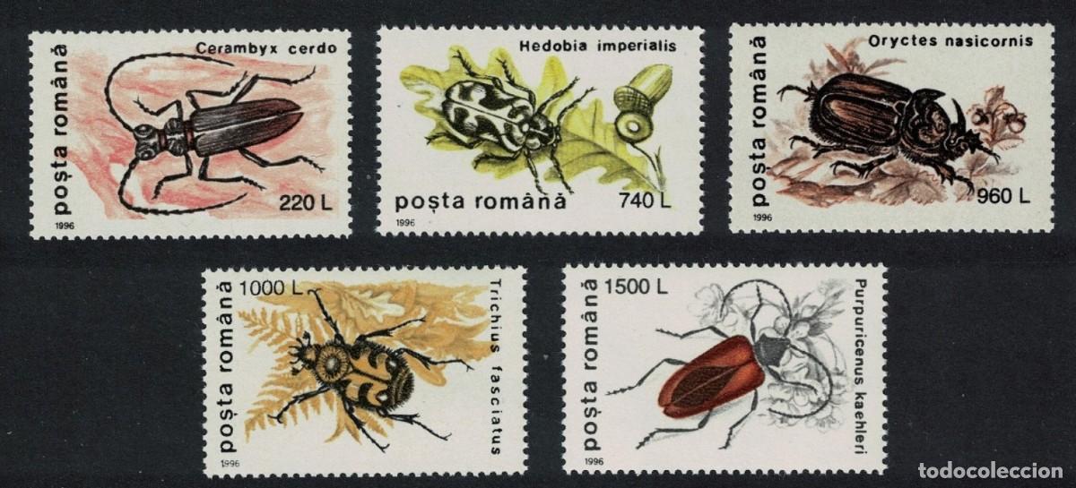 Sellos: RUMANIA 1996 SERIE 5 STAMPS MNH BEETLES ESCARABAJOS SCARABEE KAFER COLEOPTEROS INSECTOS